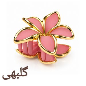 کلیپس مو زنانه مدل پلومریا شمعی مات کاتیا لوکس کد GC-35