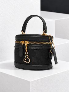 مینی کیف صندوقی COACH کد 21899