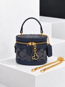 مینی کیف صندوقی COACH کد 21899