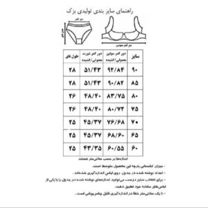 ست شورت و سوتین زنانه بزک مدل 6650