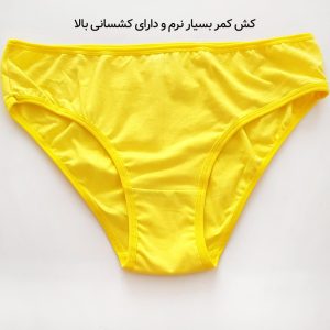 شورت زنانه ماییلدا مدل پنبه ای کد 4830