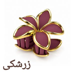 کلیپس مو زنانه مدل پلومریا شمعی مات کاتیا لوکس کد GC-35