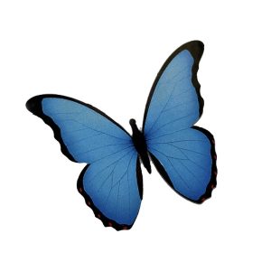 گیره مو زنانه مدل ایموجی پروانه