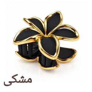 کلیپس مو زنانه مدل پلومریا شمعی مات کاتیا لوکس کد GC-35